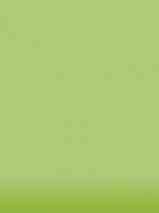 Fibeco - green background